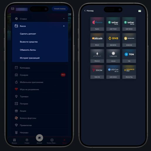 Пополнение и вывод